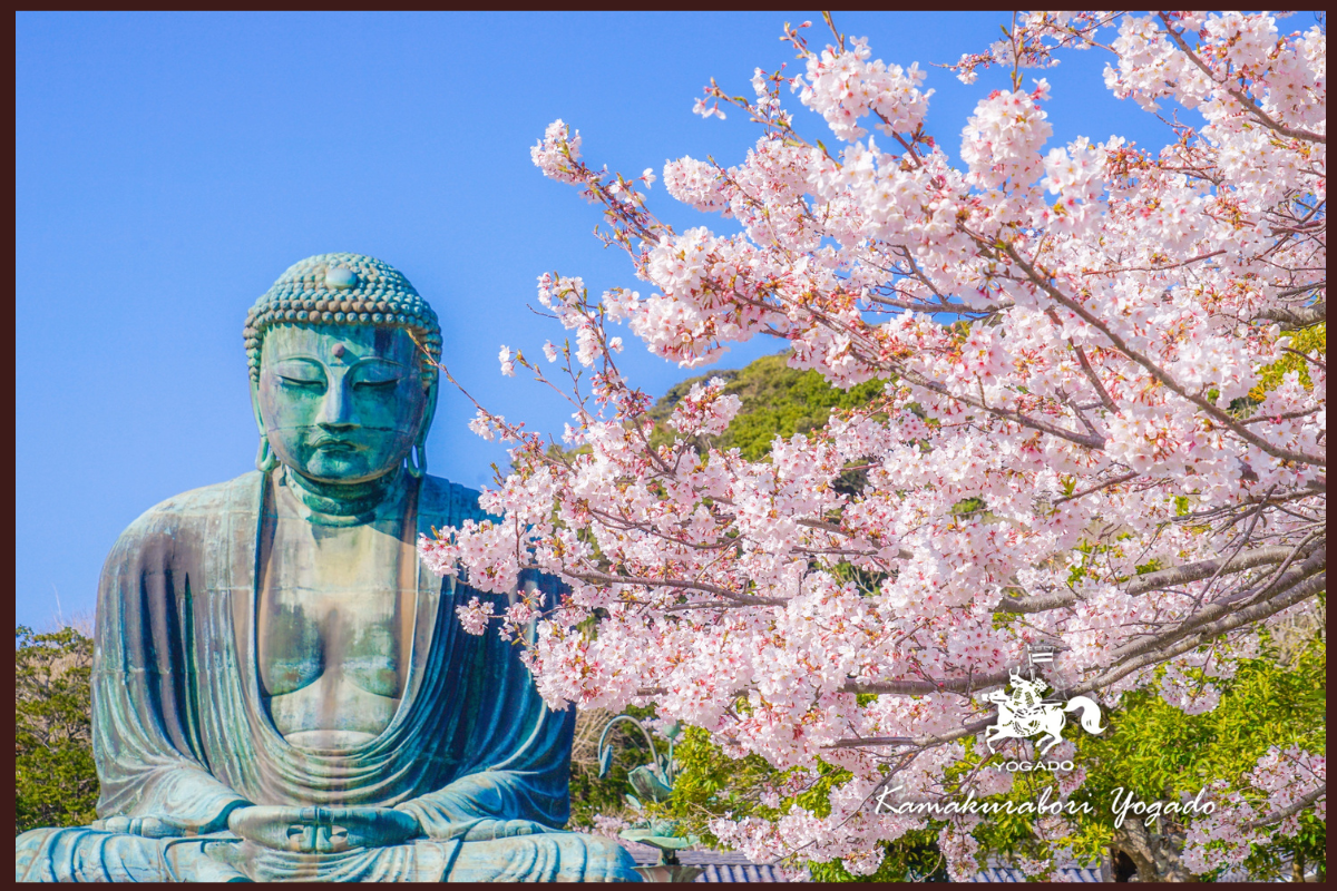 早春の花寺巡り ～鎌倉で春の息吹を感じるひととき～