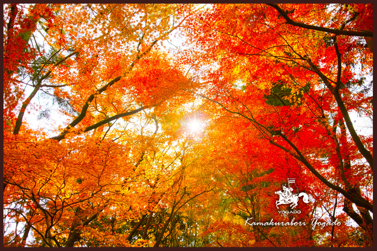 【秋の夜長を鎌倉彫と】温かいお茶とワインに寄り添う銘々皿