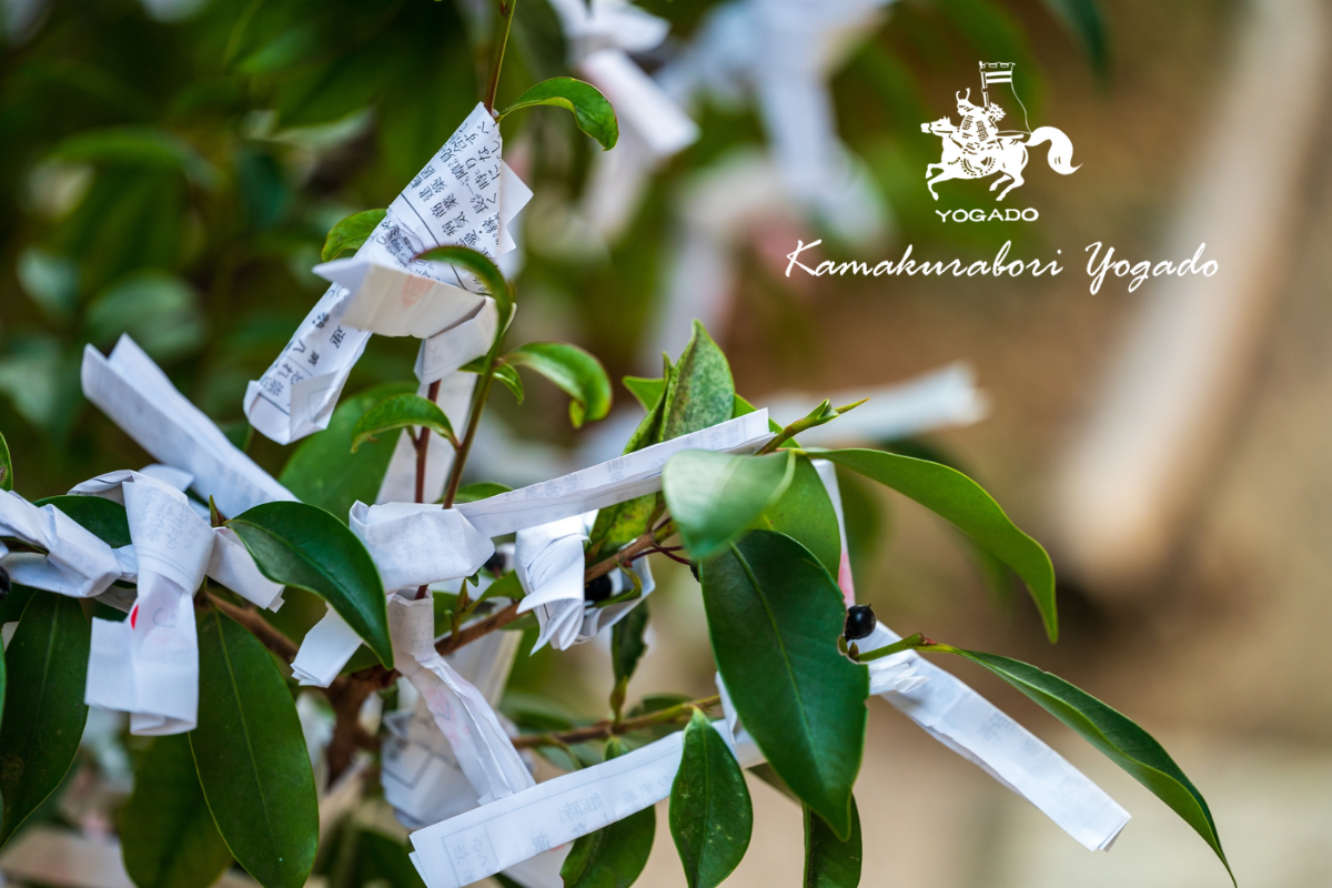 混雑を避けてゆっくり参拝する「遅めの初詣」とお土産のお箸