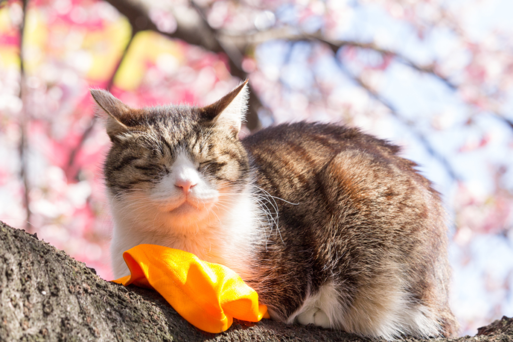 自然の造形美と遊び心