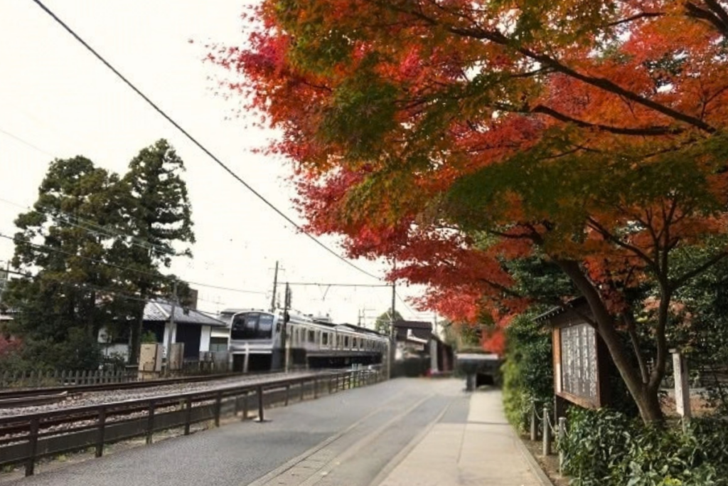 秋の深まりを、温かいお茶とともに