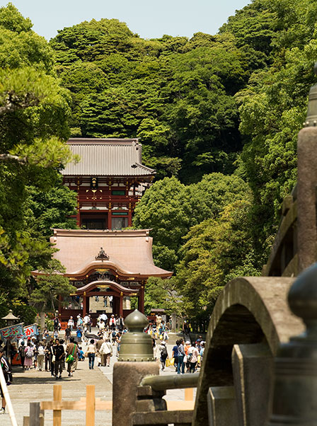 鎌倉彫の陽雅堂は鎌倉八幡宮の正面にあります